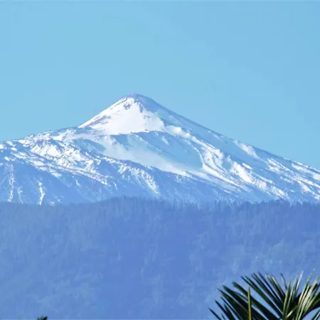 Appartement Modern In Adeje, 65 Sqm, Year-round Pool Costa Adeje (Tenerife)